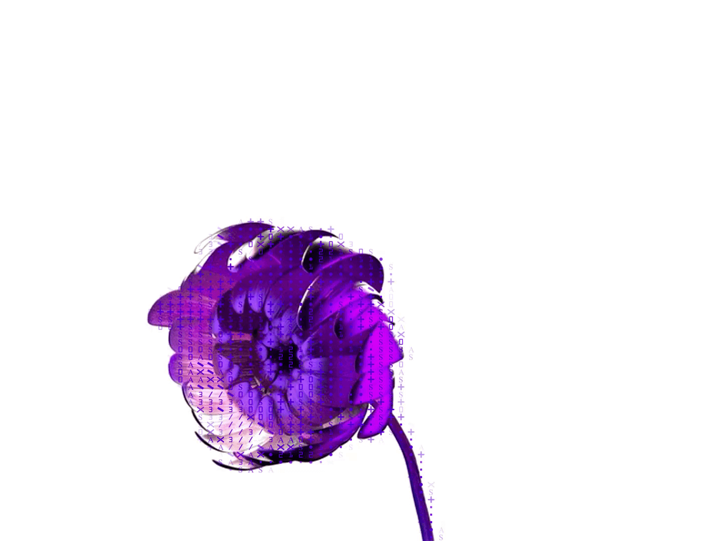 Hero Video Placeholder